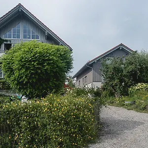 Mrowka Apartment